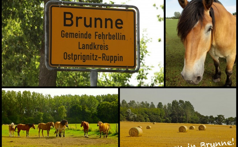 Tag 1: Willkommen in Brunne!Let’s get it started!